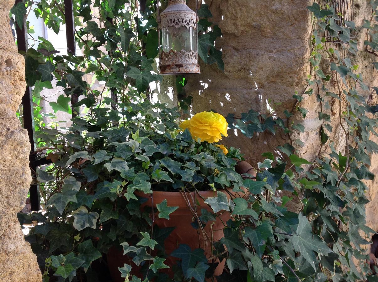 Un Patio En Luberon Bed & Breakfast Ansouis Exterior foto